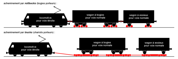 Porównanie rolboków z transporterami