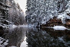 I koht, talv Väike-Taevaskojas, Külli Kolina (rahvusvaheliselt 4. koht)