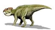 Udanoceratops tschizhovi