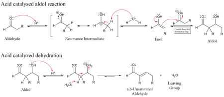 Enol Mechanism