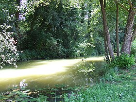 L'Ouanne à Toucy.