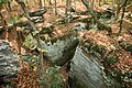 Petroglyph site on the northeast edge of the bluff