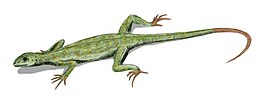 Реконструкція Petrolacosaurus kansensis