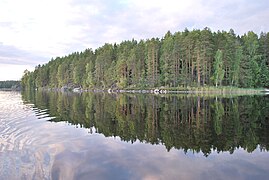 Le lac Repovesi.