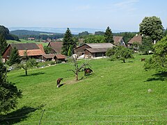 Tüfenbach und Vollenweid (Hintergrund)