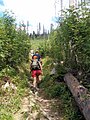 Een wandelpad in Vysoké Tatry