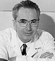 Q154723 Viktor Frankl geboren op 26 maart 1905 overleden op 2 september 1997