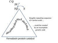 Ferredoxin catalyses the splitting of hydrogen sulphide, its earliest repeating amino acid sequence perhaps coded for by an incomplete genetic code.[7]