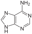 Adeninum