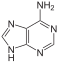 structure chimique de l'adenine