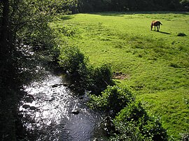 The Sonce [fr] river in Saint-Georges-de-Rouelley