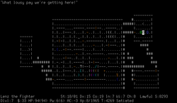 NetHack