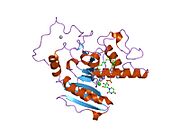 1zjp: Crystal Structure of Human Galactosyltransferase (GTB) Complexed with Galactose-grease