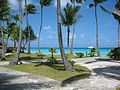 Paysage d'atoll à Rangiroa