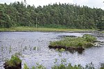 Stora Kroksjön (Skepplanda socken, Västergötland)