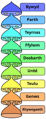 Lefelau dosbarthiad biolegol