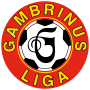 Vorschaubild für Gambrinus Liga 2000/01