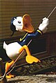 Donald Duck