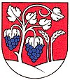 Wappen von Mojmírovce