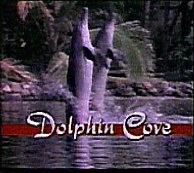 DolphinCove.jpg