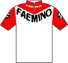 Faemino–Faema jersey