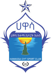 Hawassa City logo