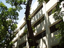 DLSU-M Library.jpg