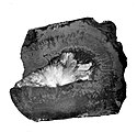 Slab of manganese ore showing a mixture of hausmannite and psilomelane in a zonal arrangement and a radiating mass of white barite at the center