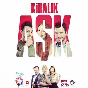 Promotional poster for the series