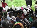 Ostrich feather caps are worn as the ceremonial headress.