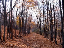 The paved, blue-blazed trail