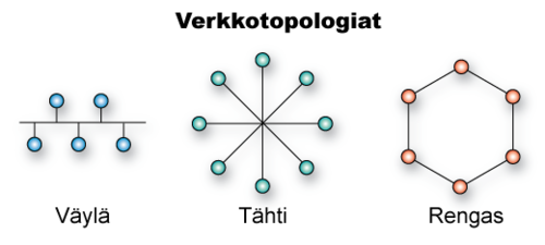 Tavallisimmat verkkotopologiat: väylä, tähti ja rengas