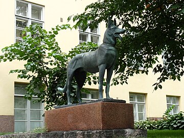 Pekka-koira, 1934, Helsinki.