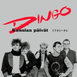 Boksi-julkaisun Kunnian päivät 1983–1986 kansikuva