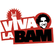 Image illustrative de l’article Viva la Bam