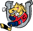 Description de l'image Barrie Colts.gif.