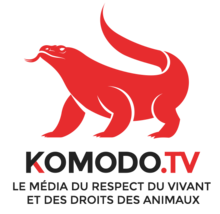 Logo-komodo-TV.png