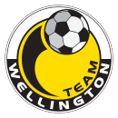 Logo du Team Wellington