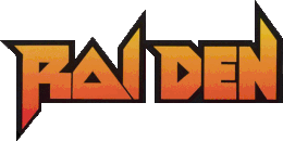 Logo du jeu Raiden