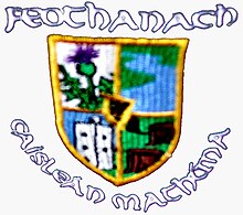 Feohanagh-CastlemahonGAA.jpg