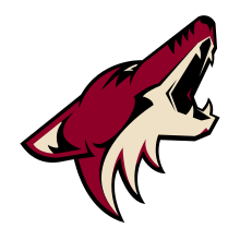 Arizona Coyotes