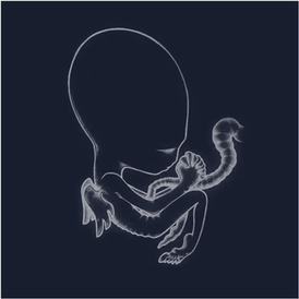 Обложка альбома Sigur Rós «Ágætis byrjun» (1999)