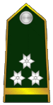 General-pukovnik