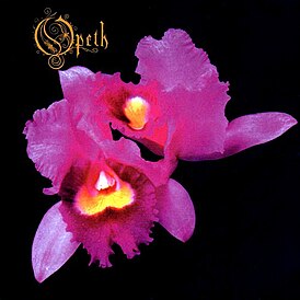 Обложка альбома группы Opeth «Orchid» (1995)