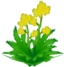 XY Yellow Flowers.png