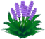 XY Purple Flowers.png