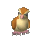 Pidgey