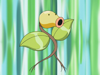 Roderick's Bellsprout