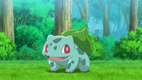 Ash Bulbasaur.png