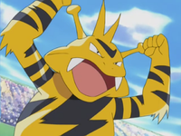 Macy's Electabuzz